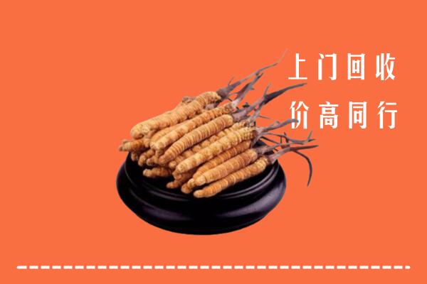 高价求购：昌黎县回收散虫草