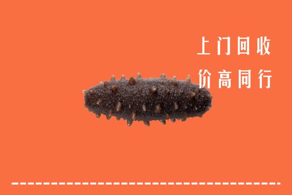 昌黎县回收海参