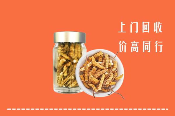 昌黎县回收冬虫夏草